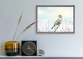 Avian Spotlight - Morning Light Mini Framed Canvas