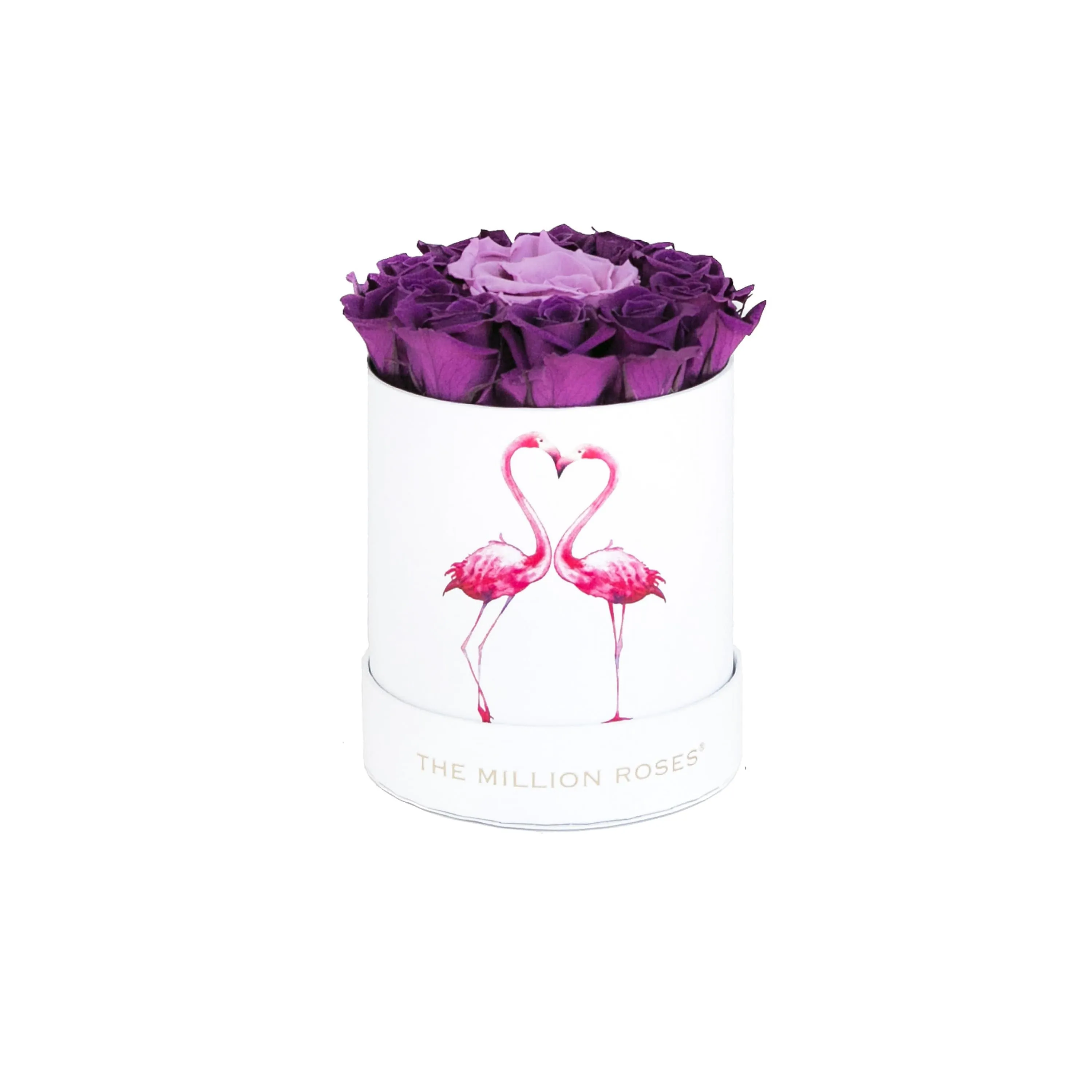 Basic White Box | Flamingo Edition | Bright Purple Mini Roses