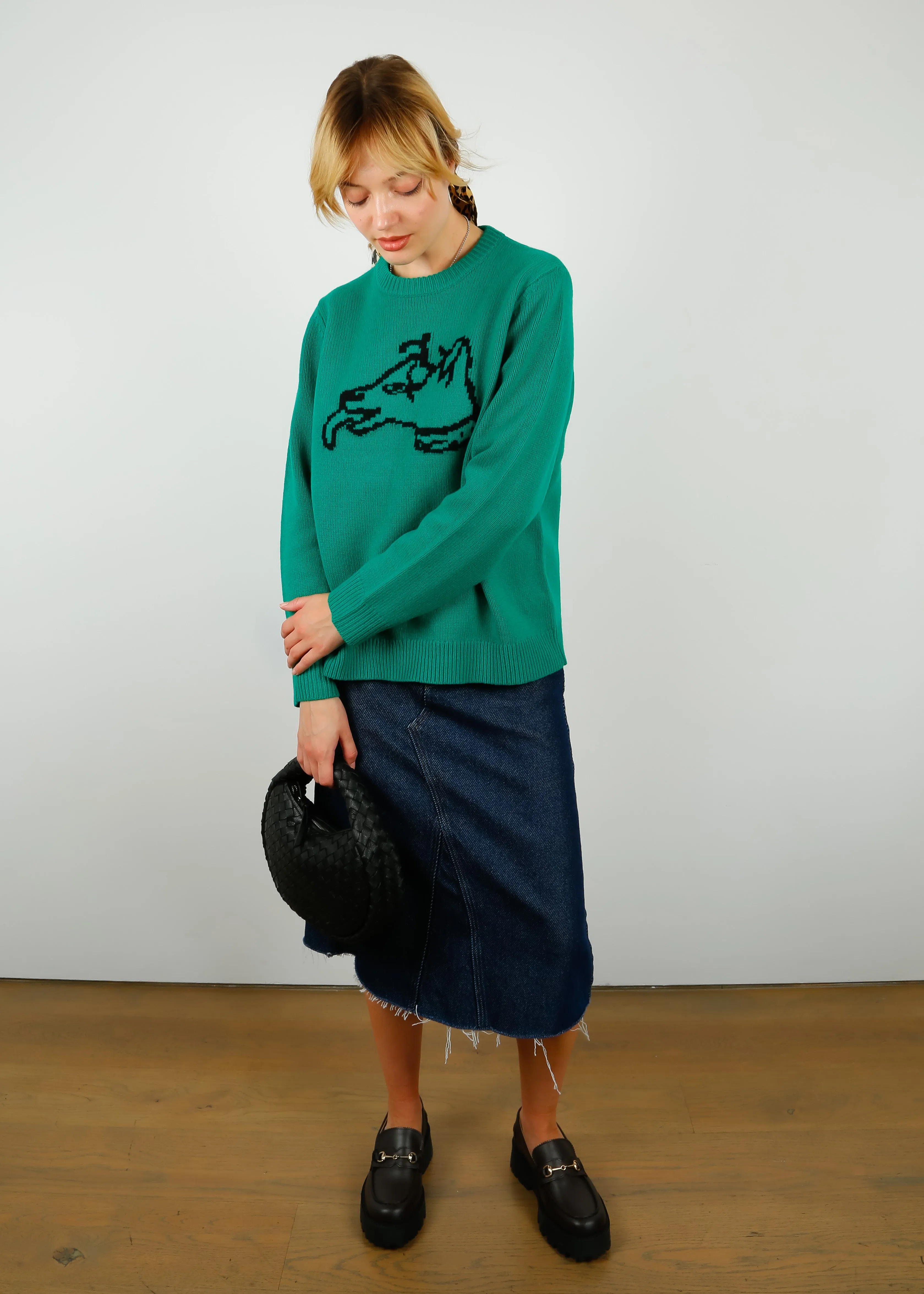 BF Dog Oversized Jumper in Green