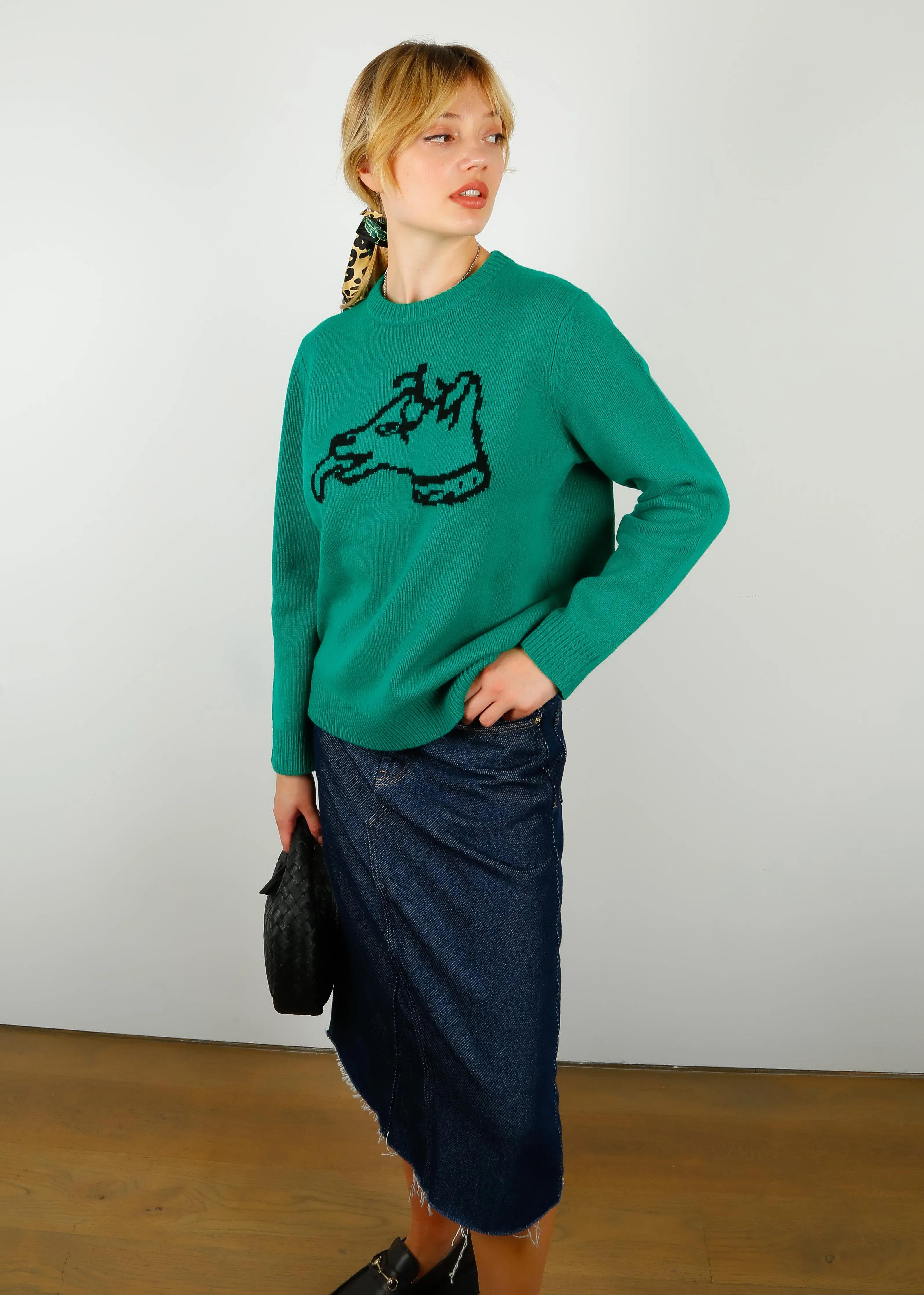 BF Dog Oversized Jumper in Green