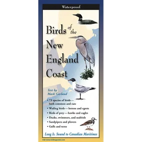 Birds of the New England Coast - Folding Guide