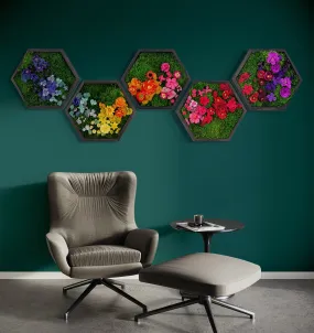 Colorful Framed Hexagon Moss Wall Art