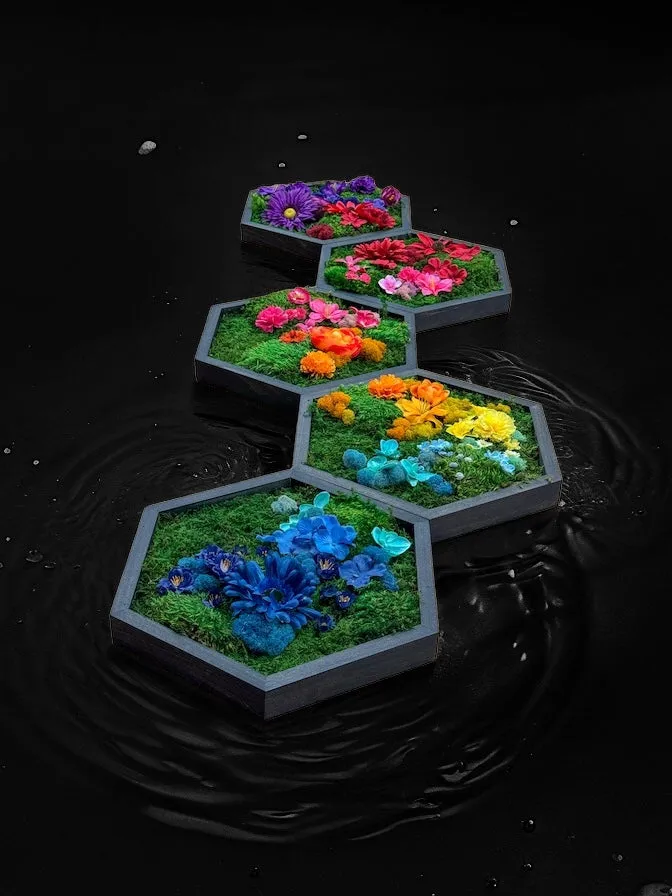 Colorful Framed Hexagon Moss Wall Art