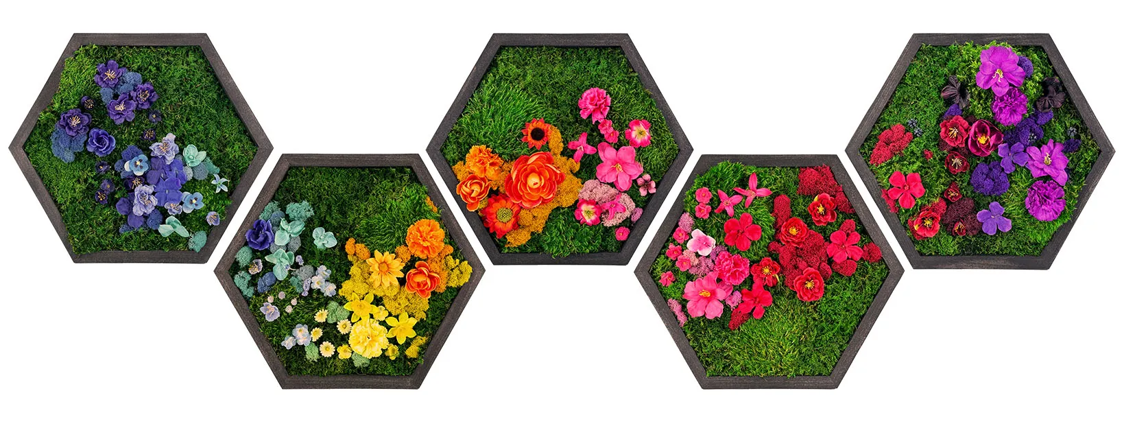 Colorful Framed Hexagon Moss Wall Art