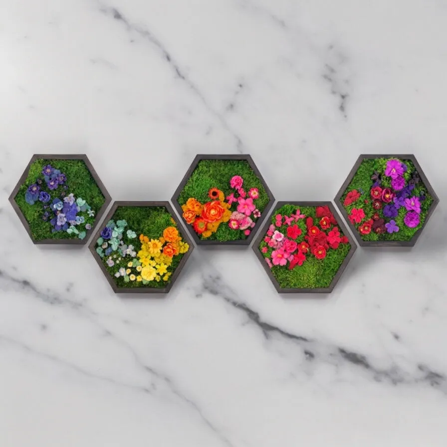 Colorful Framed Hexagon Moss Wall Art