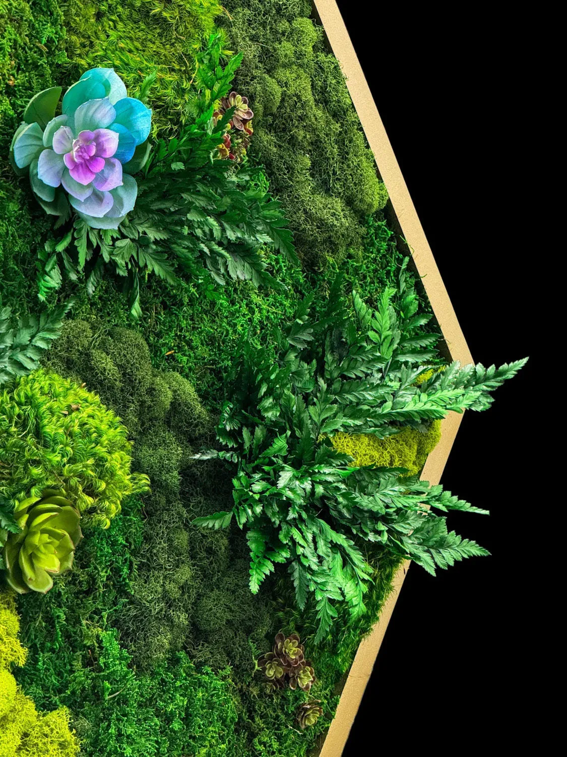 Floral Hexagon Moss Wall Art