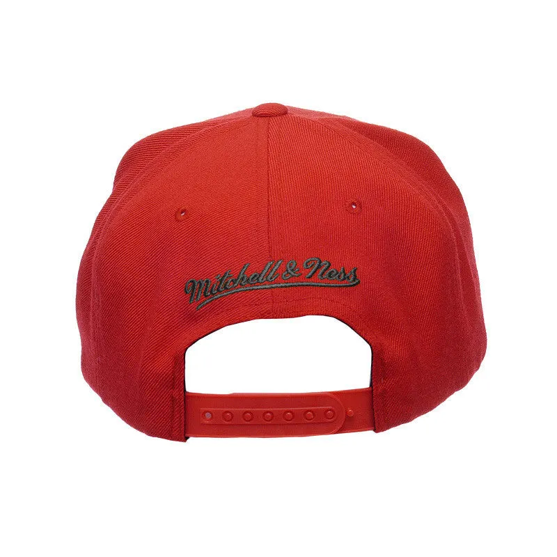 Mitchell & Ness NBA Chicago Bulls Solid Color Snapback