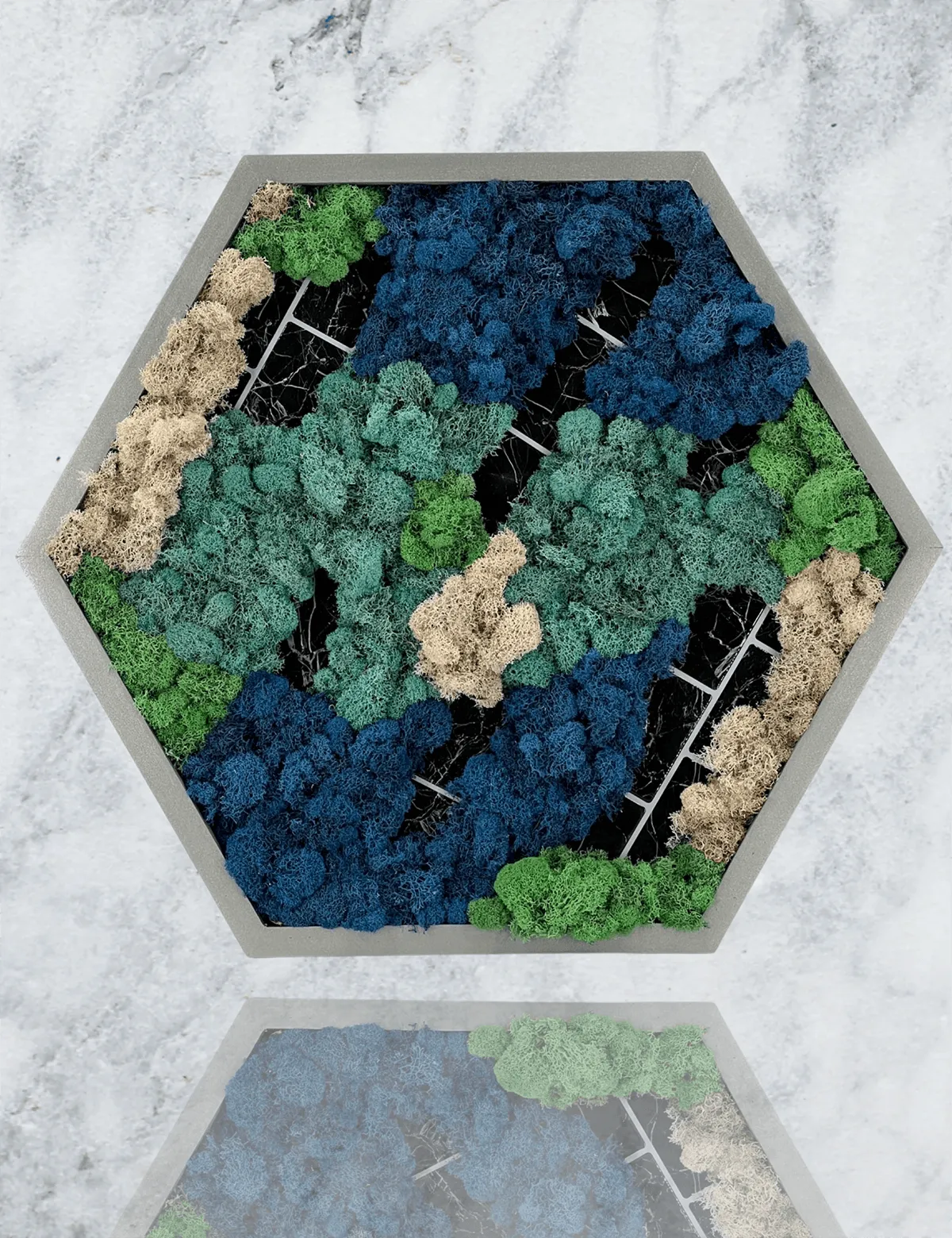 Tiled Hexagon Moss Wall Art