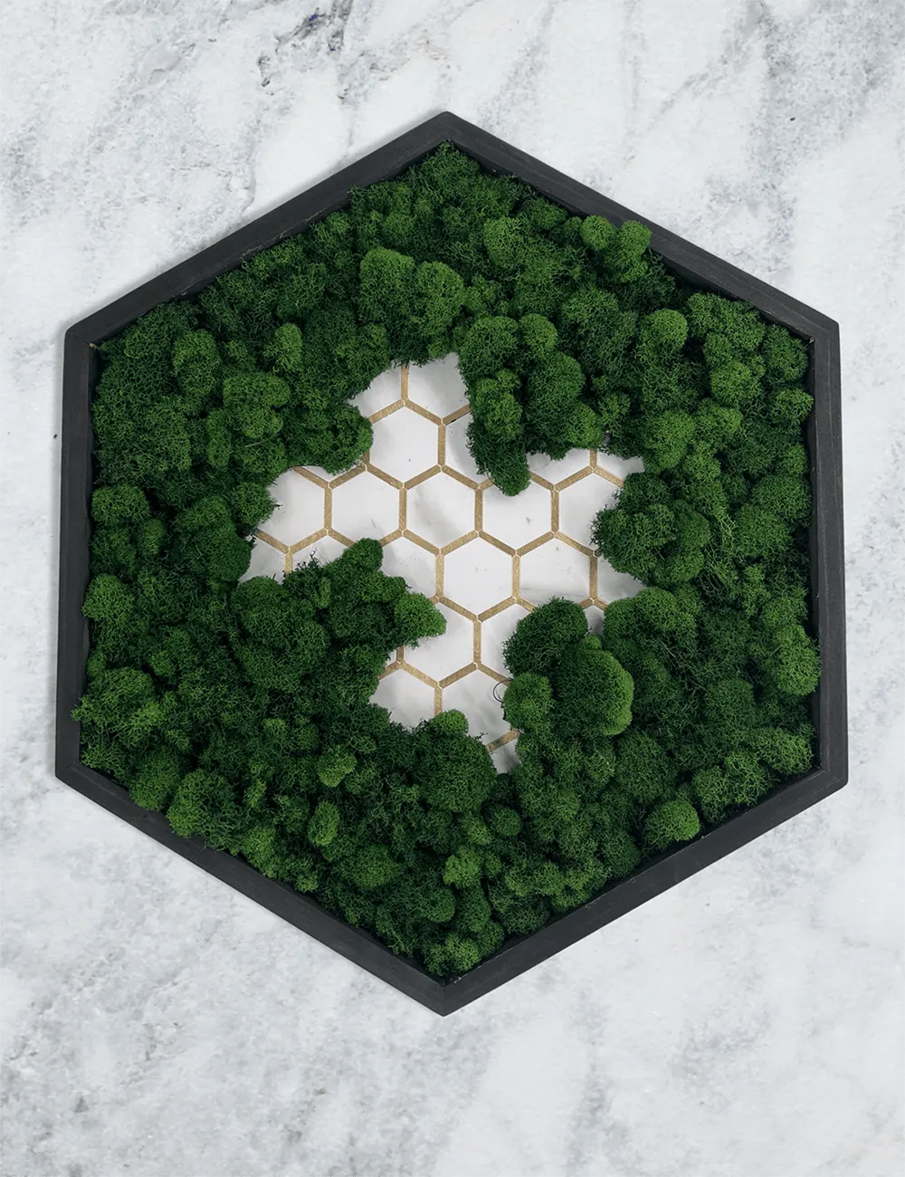 Tiled Hexagon Moss Wall Art