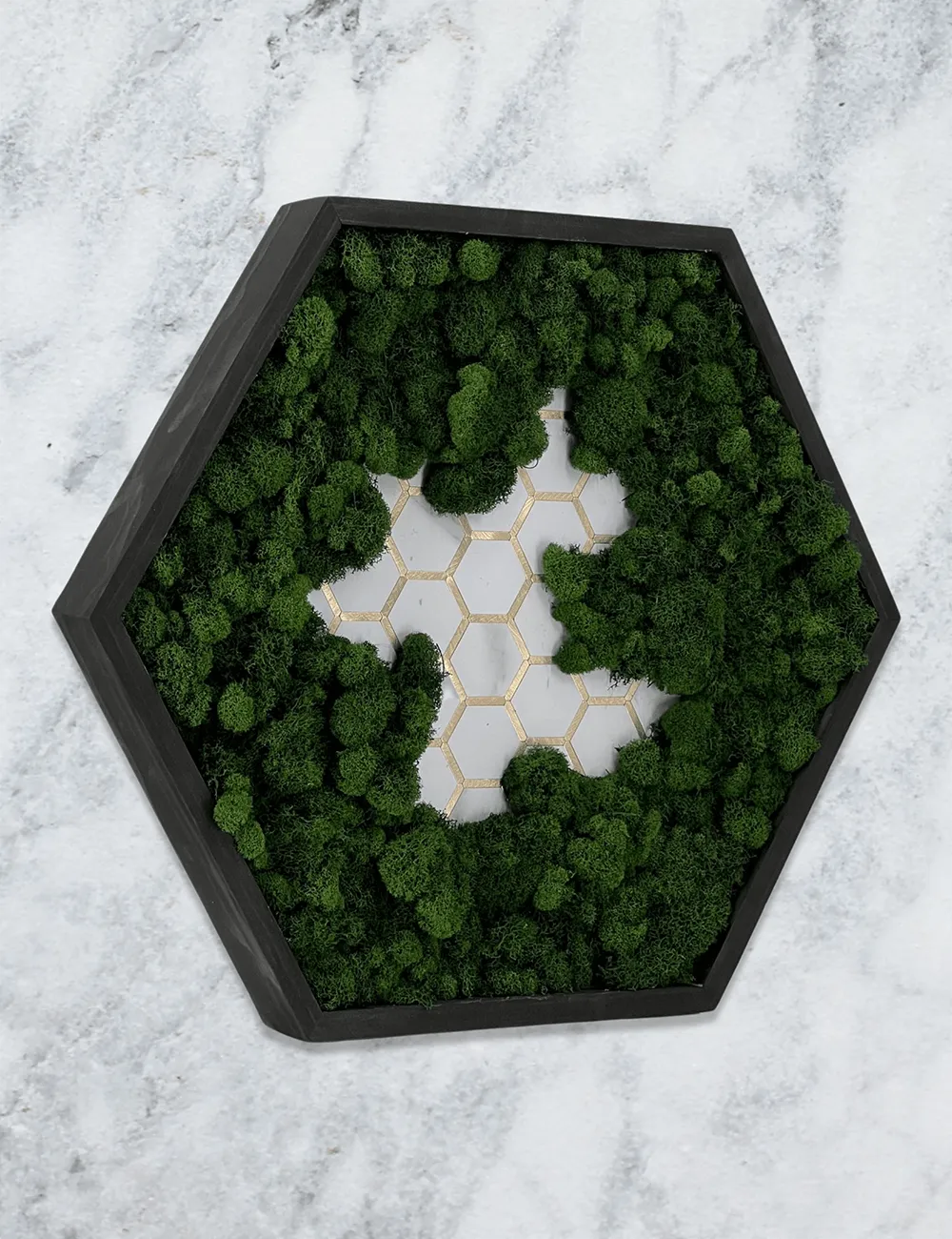 Tiled Hexagon Moss Wall Art